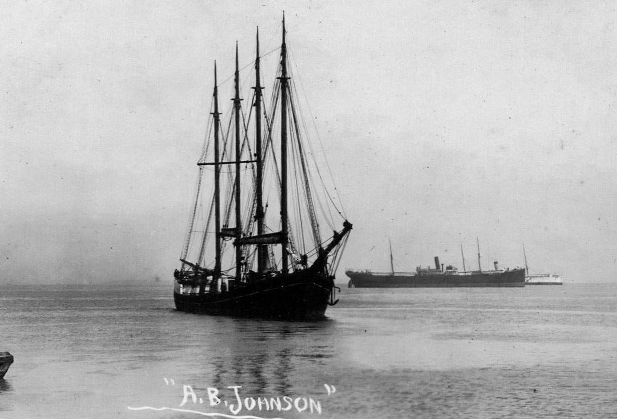 A. B. Johnson