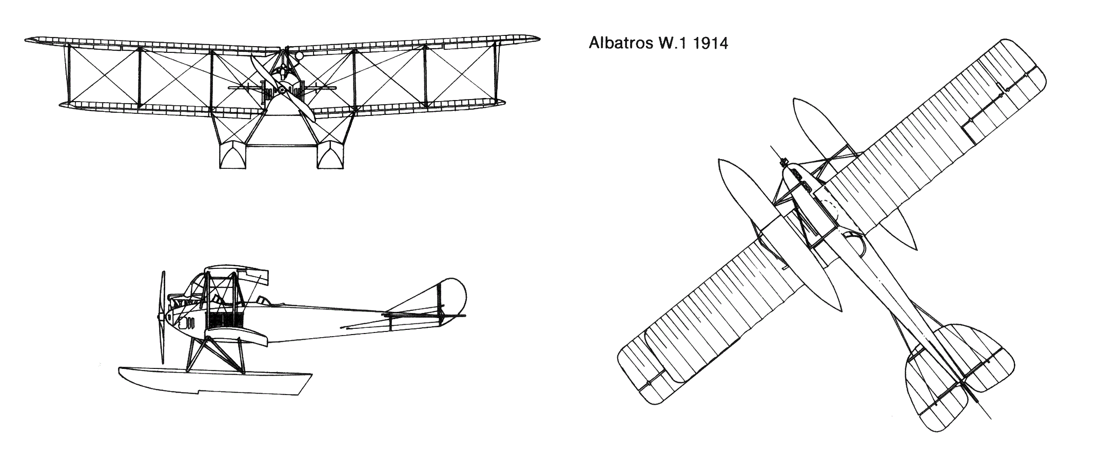 Albatros W-1