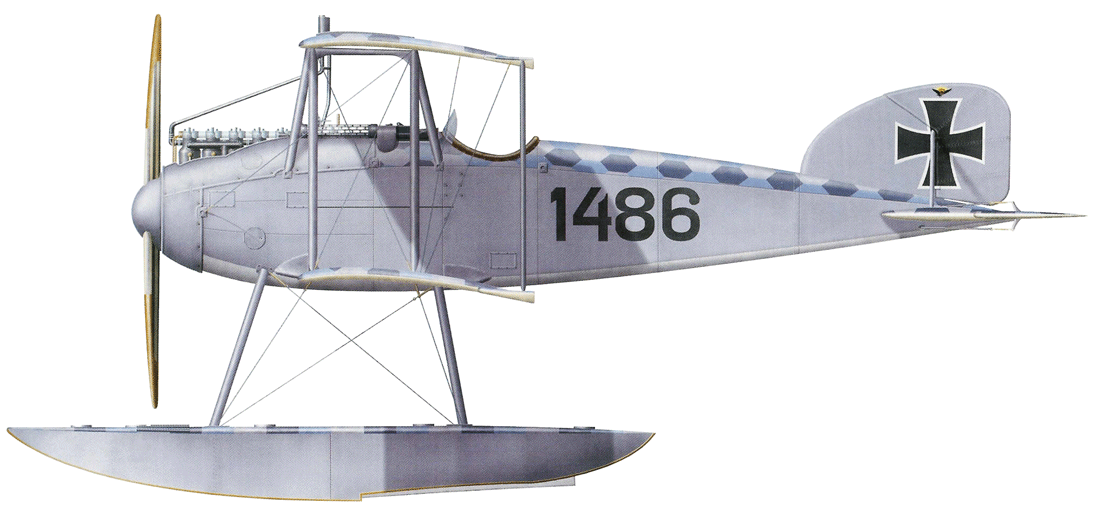 Albatros W4