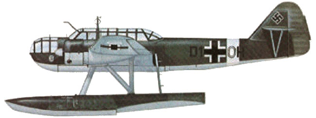 Fokker T VIII